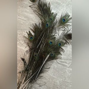 (25 piece) Peacock Eye Feather Plumes
